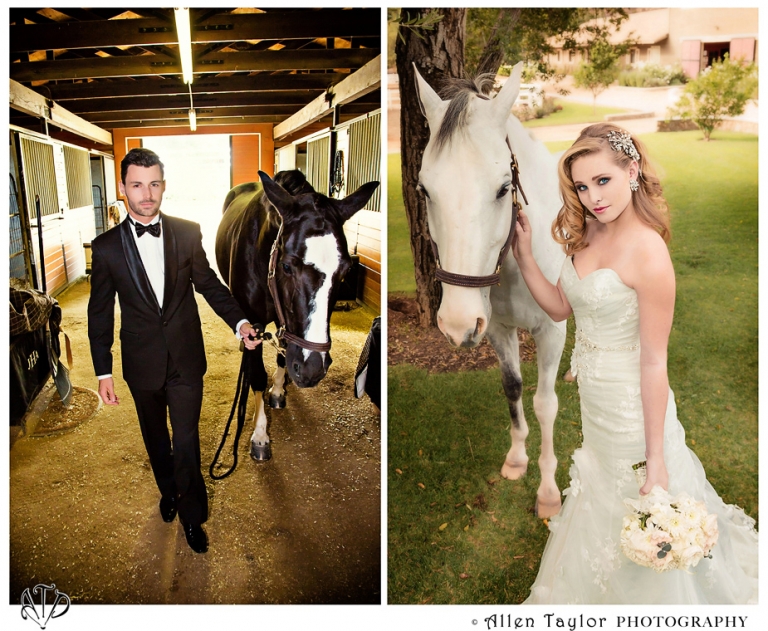 wedding, Giracci, bridal, best, top, photographer, Allen Taylor, Photography, Anaheim, Orange County, horse, ranch, silverado